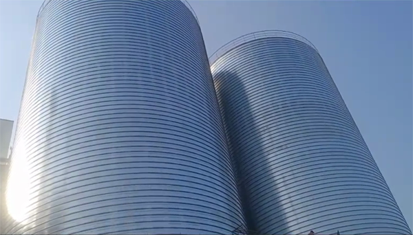 丘北2座混凝土高架卷板仓